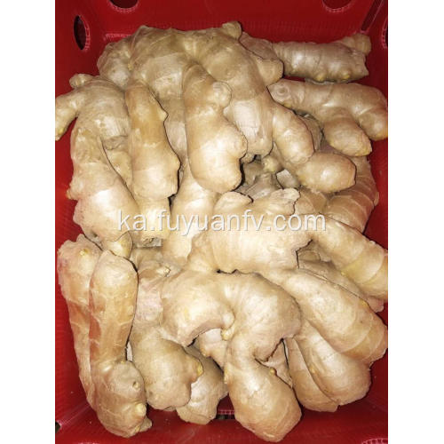 საჰაერო გამხმარი Ginger 2018 ახალი Crop